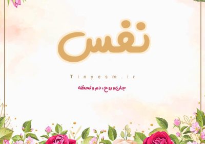 آیات انفسی