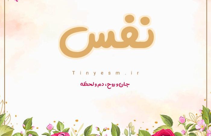 آیات انفسی