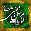 امام حسن مجتبی